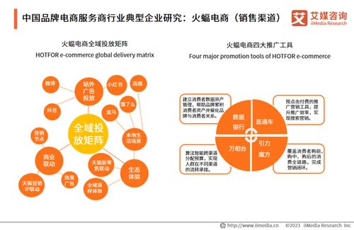 2023年中國品牌電商服務商行業研究報告 信息技術咨詢服務分析