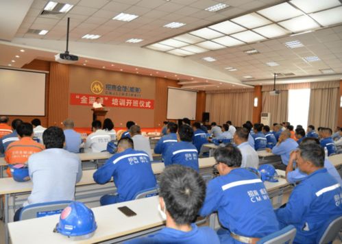 信息技術(shù)咨詢服務(wù)賦能就業(yè) 市人社局以精準(zhǔn)服務(wù)促更高質(zhì)量更充分就業(yè)