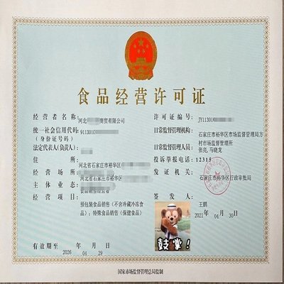 石家莊公司注冊：快至當(dāng)天出證，財稅代理與分公司注冊服務(wù)