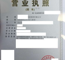 高清圖片與內(nèi)資公司注冊 流程、材料與注意事項(xiàng)詳解